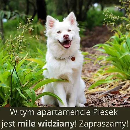 Pod Skocznia 아파트